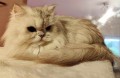https://www.waibe.fr/sites/delphine59h/medias/images/__HIDDEN__galerie_27/473700732_1612038653004891_2156425143196479171_n.jpg