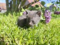 https://www.waibe.fr/sites/delphine59h/medias/images/__HIDDEN__galerie_28/IMG_20260424_163515.jpg