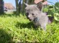 https://www.waibe.fr/sites/delphine59h/medias/images/__HIDDEN__galerie_28/IMG_20260424_163518.jpg