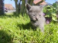 https://www.waibe.fr/sites/delphine59h/medias/images/__HIDDEN__galerie_28/IMG_20260424_163519.jpg
