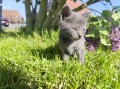 https://www.waibe.fr/sites/delphine59h/medias/images/__HIDDEN__galerie_28/IMG_20260424_163528.jpg