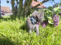 https://www.waibe.fr/sites/delphine59h/medias/images/__HIDDEN__galerie_28/IMG_20260424_163529.jpg
