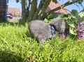 https://www.waibe.fr/sites/delphine59h/medias/images/__HIDDEN__galerie_28/IMG_20260424_163534.jpg
