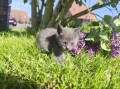 https://www.waibe.fr/sites/delphine59h/medias/images/__HIDDEN__galerie_28/IMG_20260424_163535.jpg