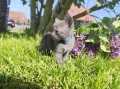 https://www.waibe.fr/sites/delphine59h/medias/images/__HIDDEN__galerie_28/IMG_20260424_163536.jpg