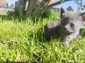 https://www.waibe.fr/sites/delphine59h/medias/images/__HIDDEN__galerie_28/IMG_20260424_163538.jpg