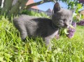 https://www.waibe.fr/sites/delphine59h/medias/images/__HIDDEN__galerie_28/IMG_20260424_163542.jpg