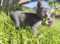 https://www.waibe.fr/sites/delphine59h/medias/images/__HIDDEN__galerie_28/IMG_20260424_163542_1.jpg