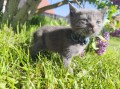 https://www.waibe.fr/sites/delphine59h/medias/images/__HIDDEN__galerie_28/IMG_20260424_163543.jpg