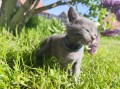 https://www.waibe.fr/sites/delphine59h/medias/images/__HIDDEN__galerie_28/IMG_20260424_163548.jpg