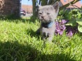 https://www.waibe.fr/sites/delphine59h/medias/images/__HIDDEN__galerie_28/IMG_20260424_163552.jpg