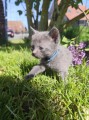 https://www.waibe.fr/sites/delphine59h/medias/images/__HIDDEN__galerie_28/IMG_20260424_163555.jpg