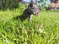 https://www.waibe.fr/sites/delphine59h/medias/images/__HIDDEN__galerie_28/IMG_20260424_163557.jpg
