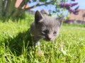 https://www.waibe.fr/sites/delphine59h/medias/images/__HIDDEN__galerie_28/IMG_20260424_163559.jpg
