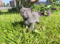 https://www.waibe.fr/sites/delphine59h/medias/images/__HIDDEN__galerie_28/IMG_20260424_163606.jpg