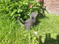https://www.waibe.fr/sites/delphine59h/medias/images/__HIDDEN__galerie_28/IMG_20260424_163635.jpg