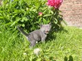 https://www.waibe.fr/sites/delphine59h/medias/images/__HIDDEN__galerie_28/IMG_20260424_163639.jpg