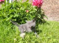 https://www.waibe.fr/sites/delphine59h/medias/images/__HIDDEN__galerie_28/IMG_20260424_163640.jpg