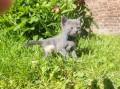 https://www.waibe.fr/sites/delphine59h/medias/images/__HIDDEN__galerie_28/IMG_20260424_163644.jpg