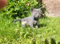 https://www.waibe.fr/sites/delphine59h/medias/images/__HIDDEN__galerie_28/IMG_20260424_163644_1.jpg