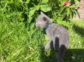 https://www.waibe.fr/sites/delphine59h/medias/images/__HIDDEN__galerie_28/IMG_20260424_163652.jpg