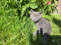 https://www.waibe.fr/sites/delphine59h/medias/images/__HIDDEN__galerie_28/IMG_20260424_163653.jpg