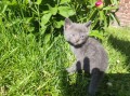 https://www.waibe.fr/sites/delphine59h/medias/images/__HIDDEN__galerie_28/IMG_20260424_163653_1.jpg