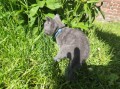 https://www.waibe.fr/sites/delphine59h/medias/images/__HIDDEN__galerie_28/IMG_20260424_163654.jpg