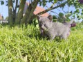 https://www.waibe.fr/sites/delphine59h/medias/images/__HIDDEN__galerie_29/IMG_20260424_164310.jpg