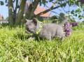 https://www.waibe.fr/sites/delphine59h/medias/images/__HIDDEN__galerie_29/IMG_20260424_164311.jpg