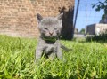 https://www.waibe.fr/sites/delphine59h/medias/images/__HIDDEN__galerie_29/IMG_20260424_164347.jpg