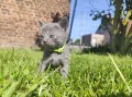 https://www.waibe.fr/sites/delphine59h/medias/images/__HIDDEN__galerie_29/IMG_20260424_164353.jpg