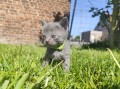 https://www.waibe.fr/sites/delphine59h/medias/images/__HIDDEN__galerie_29/IMG_20260424_164354.jpg