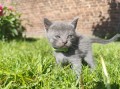 https://www.waibe.fr/sites/delphine59h/medias/images/__HIDDEN__galerie_29/IMG_20260424_164358.jpg