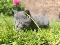 https://www.waibe.fr/sites/delphine59h/medias/images/__HIDDEN__galerie_29/IMG_20260424_164404.jpg