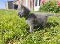 https://www.waibe.fr/sites/delphine59h/medias/images/__HIDDEN__galerie_29/IMG_20260424_164439.jpg
