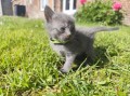 https://www.waibe.fr/sites/delphine59h/medias/images/__HIDDEN__galerie_29/IMG_20260424_164444.jpg