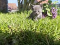 https://www.waibe.fr/sites/delphine59h/medias/images/__HIDDEN__galerie_30/IMG_20260424_163946.jpg