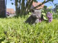 https://www.waibe.fr/sites/delphine59h/medias/images/__HIDDEN__galerie_30/IMG_20260424_163947.jpg