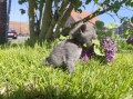 https://www.waibe.fr/sites/delphine59h/medias/images/__HIDDEN__galerie_30/IMG_20260424_163950.jpg