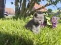 https://www.waibe.fr/sites/delphine59h/medias/images/__HIDDEN__galerie_30/IMG_20260424_163956.jpg