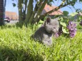 https://www.waibe.fr/sites/delphine59h/medias/images/__HIDDEN__galerie_30/IMG_20260424_163958.jpg