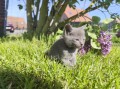 https://www.waibe.fr/sites/delphine59h/medias/images/__HIDDEN__galerie_30/IMG_20260424_163959.jpg