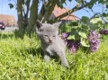 https://www.waibe.fr/sites/delphine59h/medias/images/__HIDDEN__galerie_30/IMG_20260424_164004.jpg
