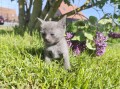https://www.waibe.fr/sites/delphine59h/medias/images/__HIDDEN__galerie_30/IMG_20260424_164009.jpg