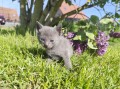 https://www.waibe.fr/sites/delphine59h/medias/images/__HIDDEN__galerie_30/IMG_20260424_164014.jpg