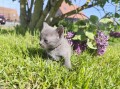 https://www.waibe.fr/sites/delphine59h/medias/images/__HIDDEN__galerie_30/IMG_20260424_164017.jpg
