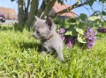 https://www.waibe.fr/sites/delphine59h/medias/images/__HIDDEN__galerie_30/IMG_20260424_164018.jpg