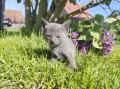 https://www.waibe.fr/sites/delphine59h/medias/images/__HIDDEN__galerie_30/IMG_20260424_164020.jpg