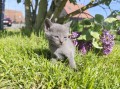https://www.waibe.fr/sites/delphine59h/medias/images/__HIDDEN__galerie_30/IMG_20260424_164021.jpg